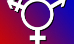 Transgenders
