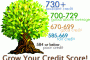 Credit Score