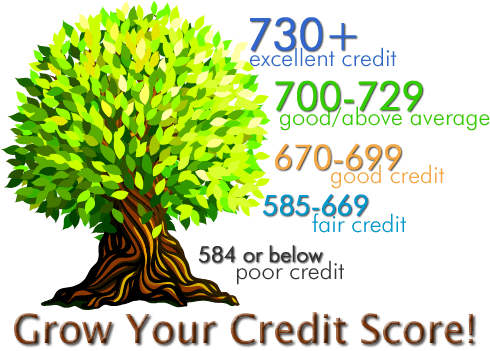 Credit Score
