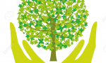 Help Save Trees