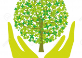Help Save Trees