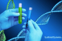 DNA test