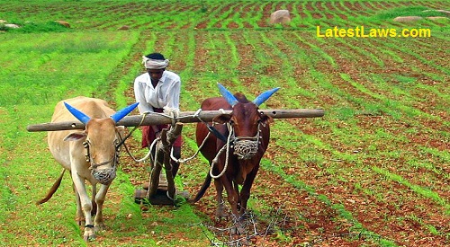Small Farmers, Pic courtsey Wikipedia