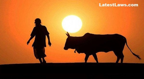 Cow Slaughter punishable with Life Imprisonment