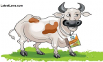 Aadhaar for Cows