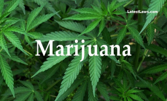 Marijuana