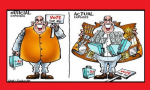 Vices in Elections