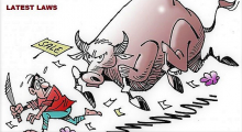 Cattle for slaughter