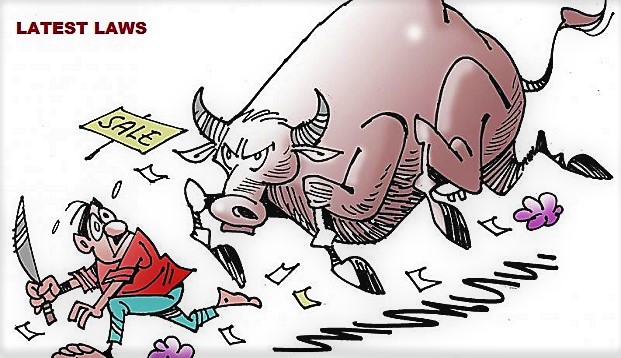 Cattle for slaughter