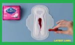 Bodyform Advt