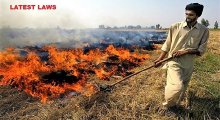 Stubble burning