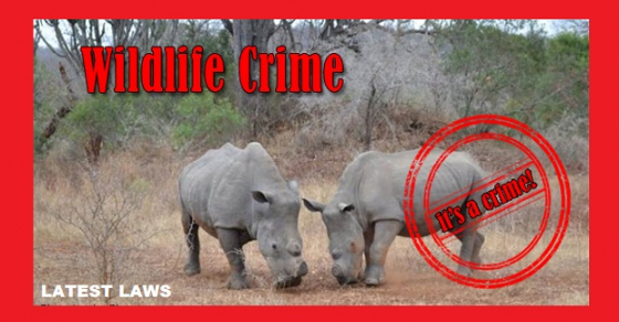 Wildlife Trafficking and Poaching in India: Law and Judicial Perspective  By: Lakhan Gupta
