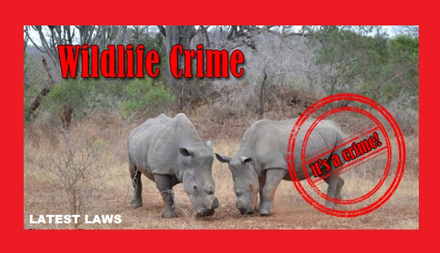 Wildlife Crimes