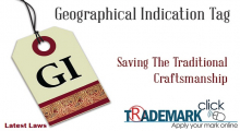 GI Tag