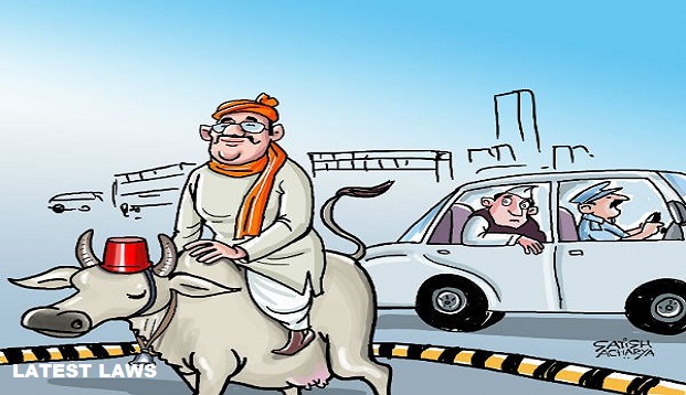 Indian Netas