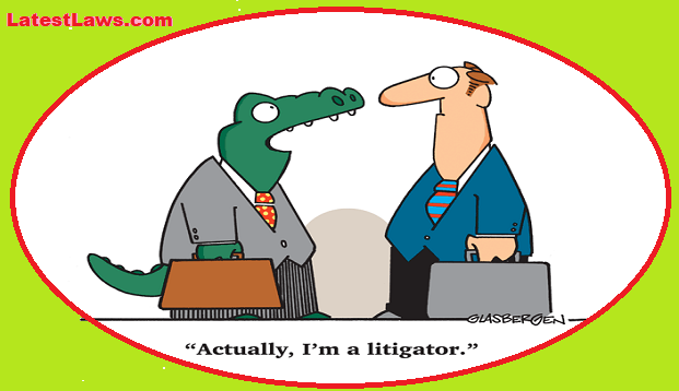 Humour @ Latest Laws: Alligator vs Litigator