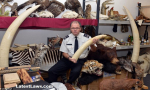 British Govt. to ban sale of Ivory Articles