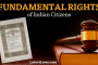 Fundamental Rights