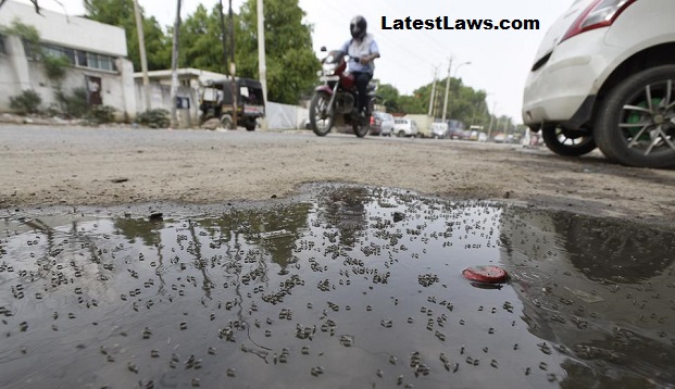 Mosquito Breeding in New Delhi Pic Source: Hindustan Times