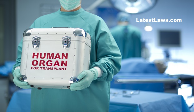 Transplantation of Human Organs