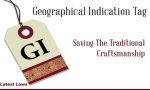 GI Tag