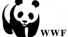 WWF- India