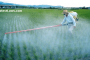Pesticides in Farming
