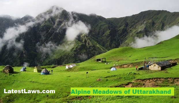 Alpine Meadows of Uttarakhand
