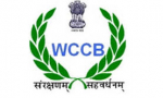 WCCB
