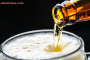 Alcohol Ban
