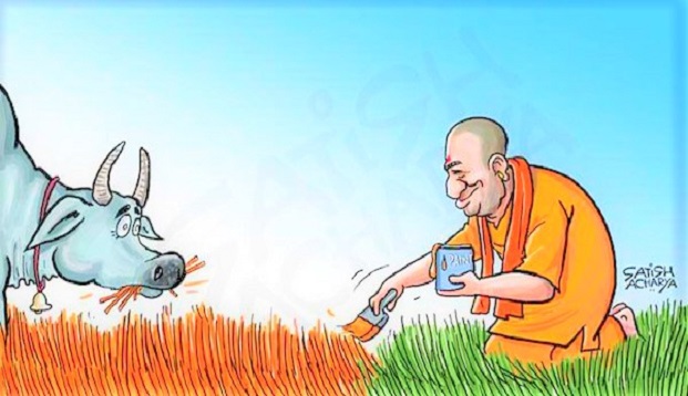 Humour @ Latest Laws