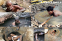 Manual Scavenging in India