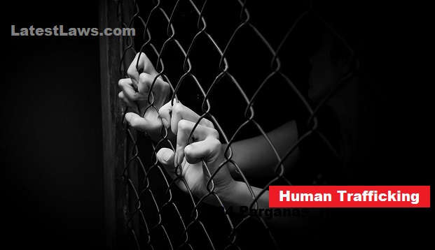 Human Trafficking