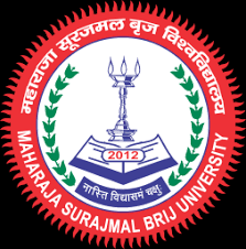 MSB Global Law Institute