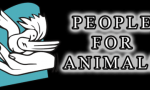 People for Animals