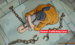Human Trafficking Case