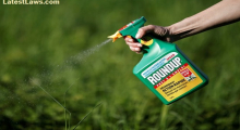 Glyphosate-based weed killer RoundUp