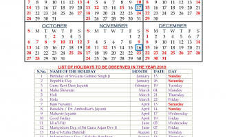 Haryana and Punjab High Court Calendar 2019