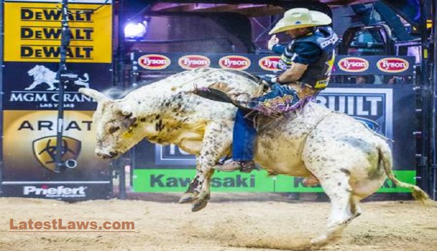 Bullriding championship