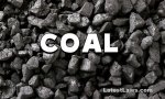 Coal