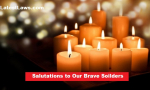 Salute to Brave Soilders