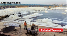 Yamuna Pollution