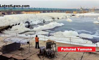 Yamuna Pollution