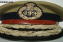 IPS Officer