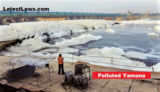 Yamuna Pollution