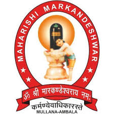 Maharishi Markandeshwar University