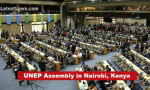 UNEP