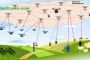 Drones Fleet