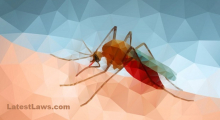 Malaria