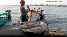 Fishermen Arrested